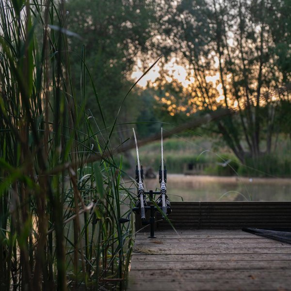 Nash Scope Black Ops Carp Rod