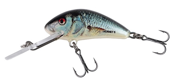 Salmo Hornet Floating Crankbait 6cm (11g) - Real Dace