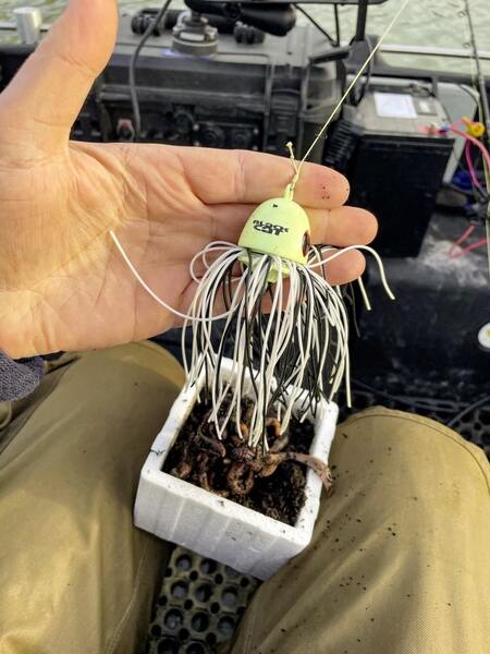 Przynęta Sumowa Black Cat Battle Teaser Silent Glow In The Dark