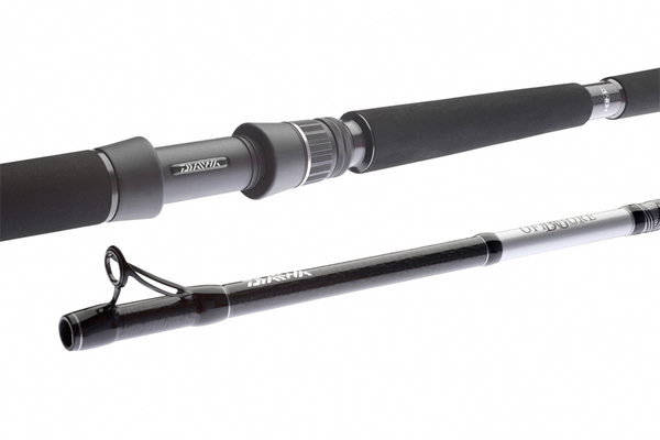 Wędka Daiwa BG Offshore