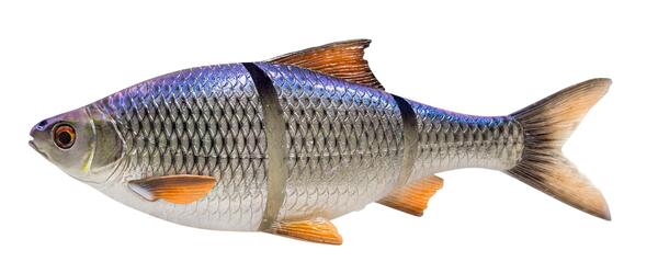 Savage Gear 3D Line Thru Roach Slow Sinking 32cm (420g)  - Blue Roach