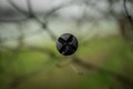 Black Cat Perfect Passion X Long Range Meervalhengel 3.30m (600g)