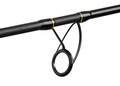 Black Cat Hard Core Combo Spin Catfish Rod Set 2.40m (200g)