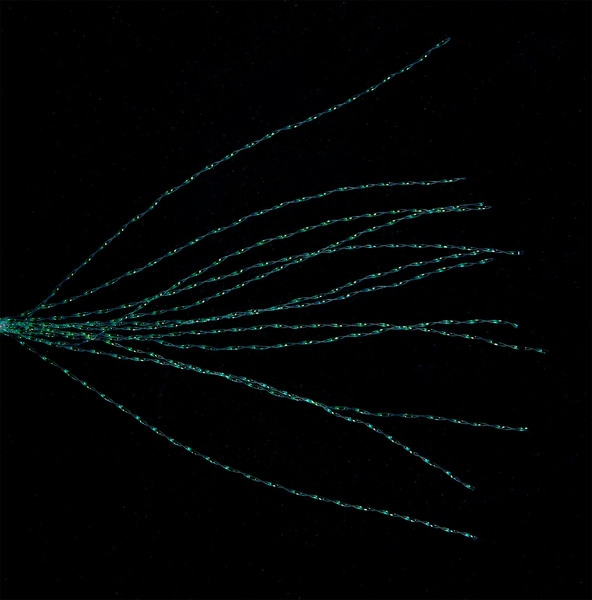 Balzer Hollow Dancer Shad 6cm (1.2g)