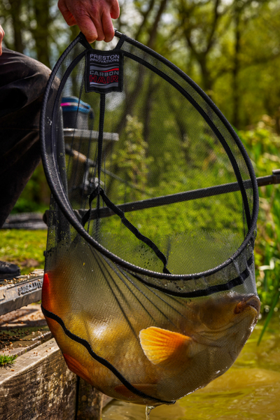 Preston Carbon Hair Mesh Landingsnet