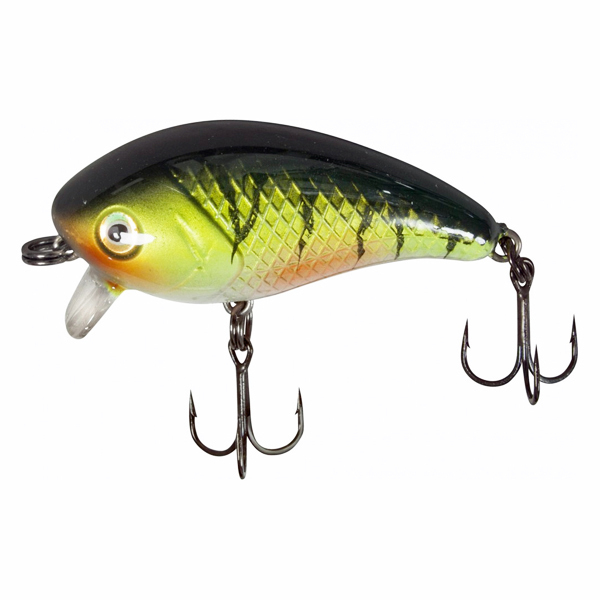 Quantum 1-Minus - Perch