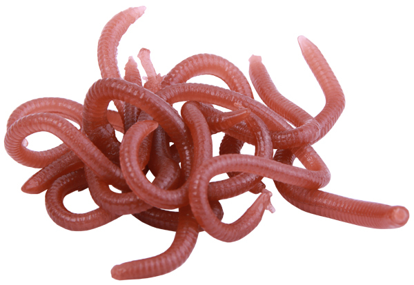 Behr Trendex Imitation Wurm, 40 st.!