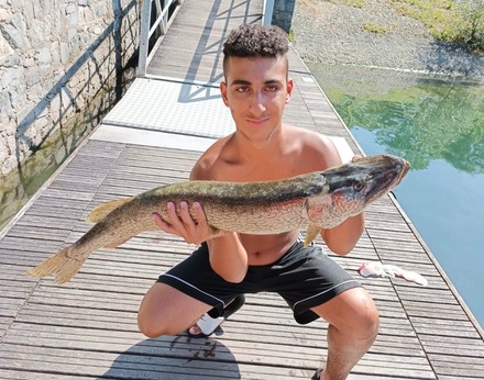 Il vincitore precedente