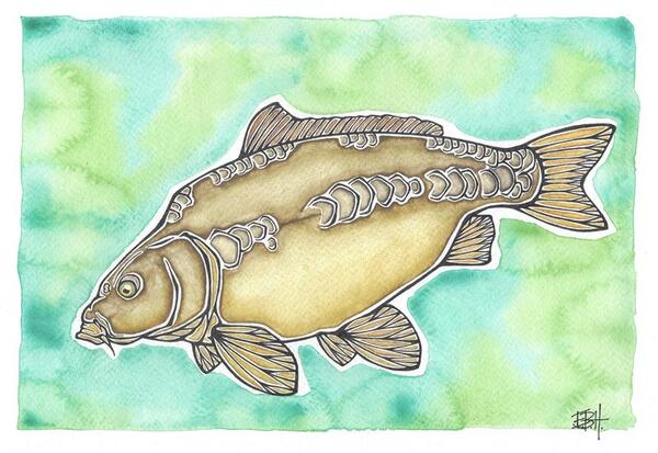 EBH Arts Vis Poster Carp (Ingelijst)