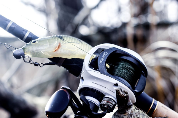 Quantum Baitcast reel Accurist with Flippin Switch