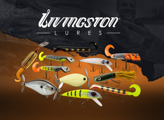 banner medium