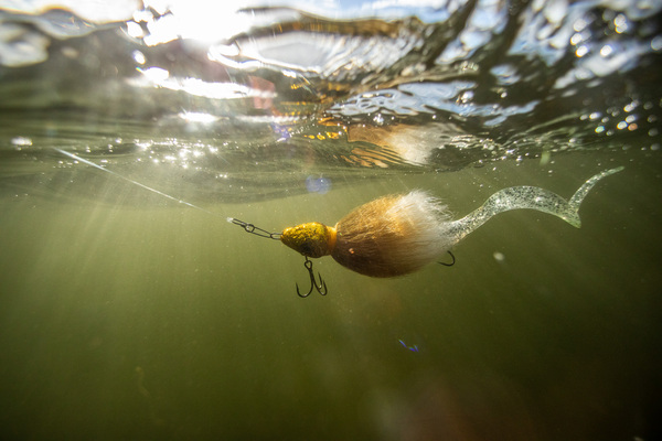 Grayton Buck-Bug Bucktail Jig S 19cm (40g)