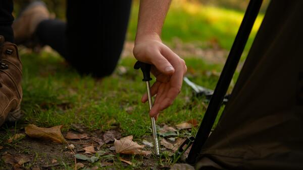 Sonik Biveebo Karpertent
