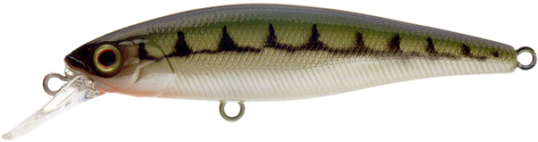 Illex Squad Minnow - Vairon