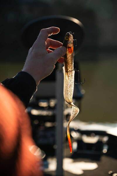 Fox Rage Slick Eel Loaded Softbait 28cm (57g) #1/0 - UV Hot Olive