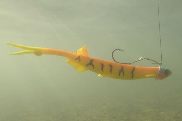 Black Cat Pelagic Suspending Shad Catfish Lure 27cm (60g)