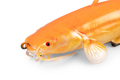 Fox Rage Ultra Realistic Replicant Catfish Golden Wels Swimbait