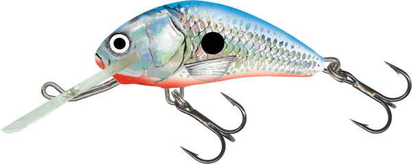 Salmo Hornet 6cm Floating - Silver Blue Shad