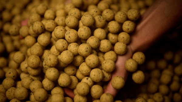 Tactic Carp Soluble Boilies Creamy Custard (1kg)