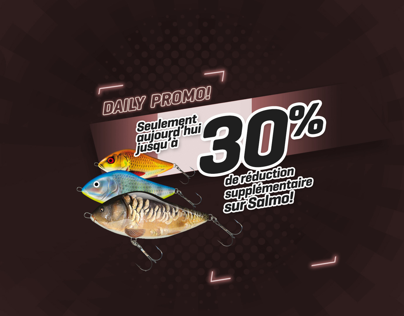 Subbanner: Tot 30% Salmo