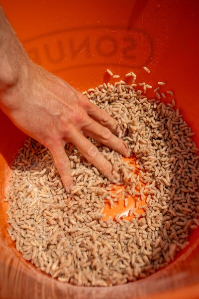 Sonubaits Maggot Glue (300g)