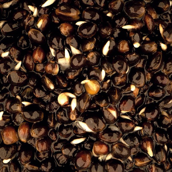 Nash Oily Hemp (500ml)