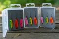 Zebco Target Fish Trout UL Spoon Set 2.2g (3 Stuks)