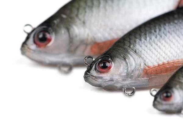 Fox Rage Ultra-Realistic Roach Replicant Swimbait 18cm (80g)