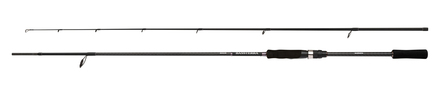 Shimano Bassterra A Seabass Spinning Zeevishengel