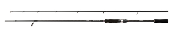 Shimano Bassterra A Seabass Spinning Zeevishengel 
