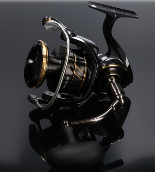 Daiwa Caldia SW Marine Fishing Reel