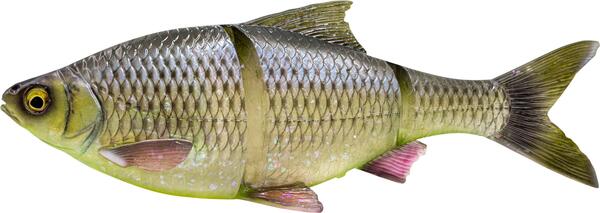 Savage Gear 3D Line Thru Roach Slow Sinking Shad 18cm (80g)