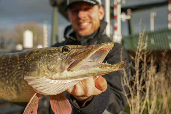 Ultimate Chikara Cast ML 2,36m (5-20g)