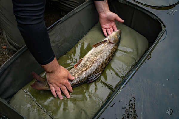 Mata do Odhaczania Korum Progress Fast Mat