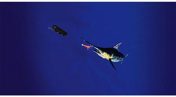 GoFish HD Underwater Cam