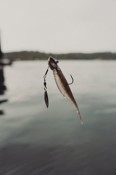 Tête plombée underspin BKK Refrax Jig Natural Goby Superslide