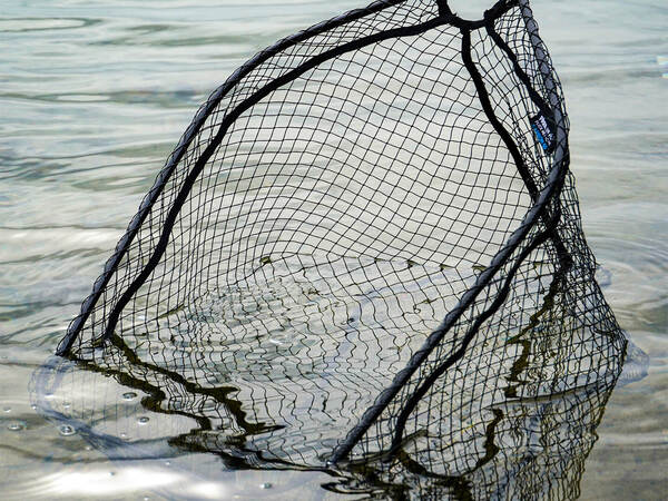 Spro Freestyle Flick Net Head Carbon