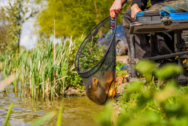 Preston Carbon Hair Mesh Landingsnet