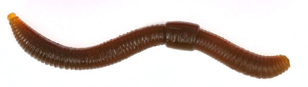 Trout Master Dendrobaena Worm Imitation 8cm (15 pieces) - Natural