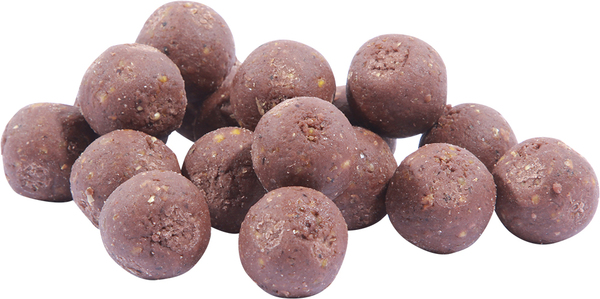 CBB Autumn/Winter bucket deal