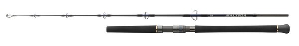 Daiwa Saltiga Jigging Sea Fishing Rod 5.8ft/1.75m (150-300g)