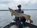 Savage Gear Alpha SG8 Swimbait Baitcaster