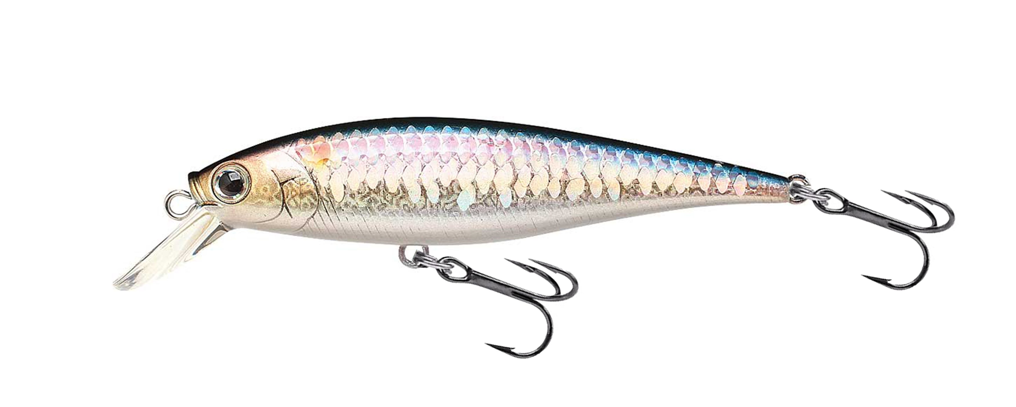Lucky Craft Pointer 78dd - 270 MS American Shad