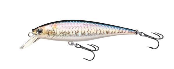 Lucky Craft Pointer 78 Lure 7.8cm (9.2g) - MS American Shad