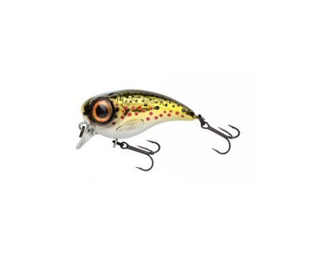Spro Fat Iris 40 – Leurre Dur 4 Cm, 5,4 G, Profondeur 0,3 M – Couleur Hot Perch, Hameçons Tranchants