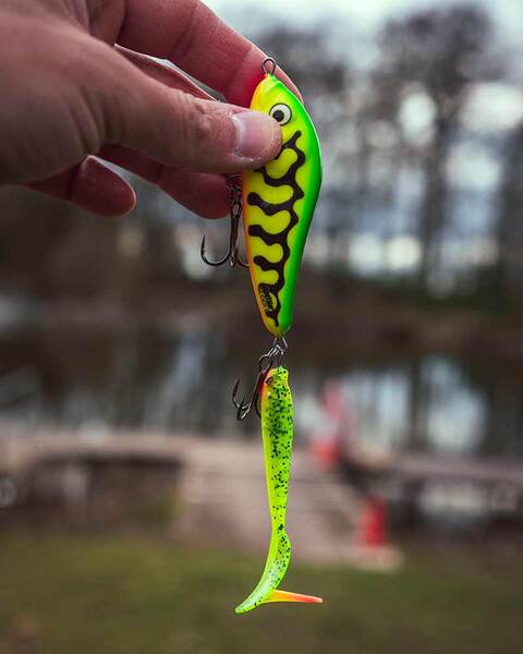 Fox Rage Strike Point Hitcher Screws (6 Stuks)