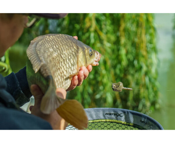 Matrix Pellet Feeder