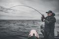 Savage Gear Defiance SG8 Inshore Zeebaarshengel