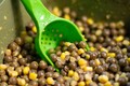 Korda Bait Scoop Voerschep
