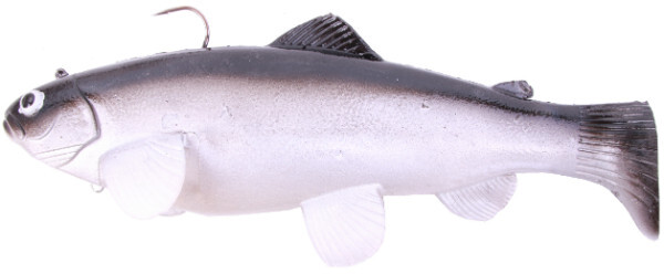 Castaic Swimbait Trout - Cisco